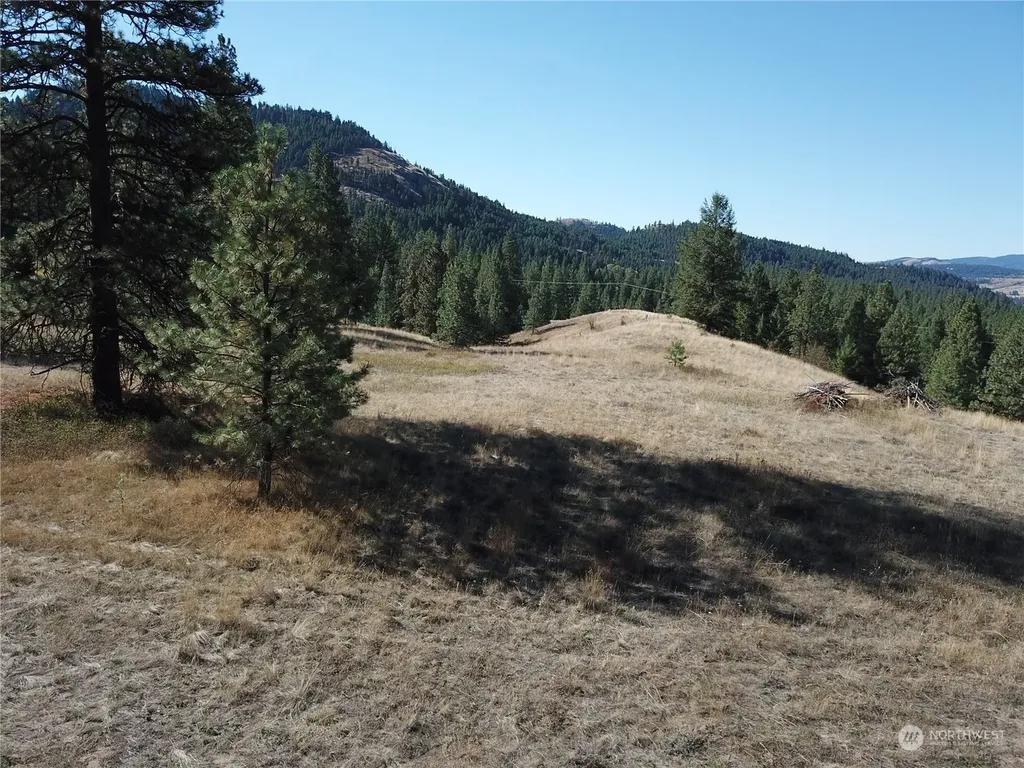 68 Jostin Lane Malo WA 99150