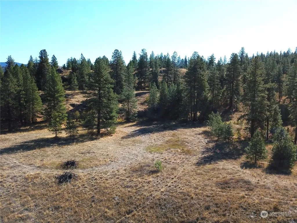 68 Jostin Lane Malo WA 99150