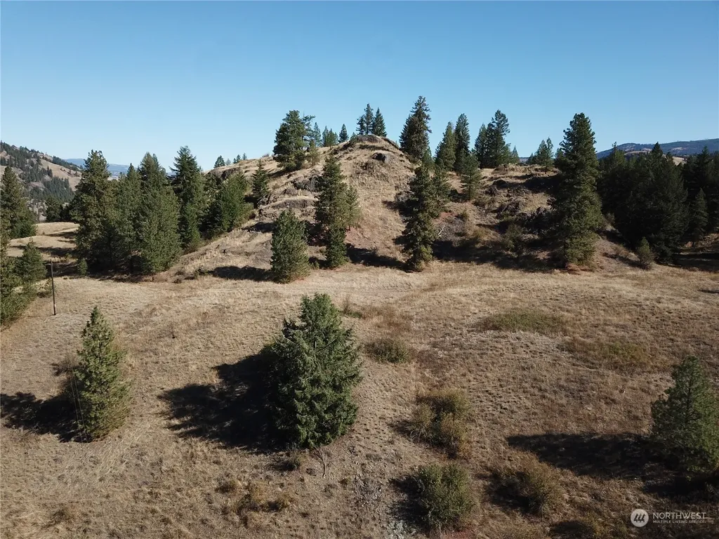 68 Jostin Lane Malo WA 99150