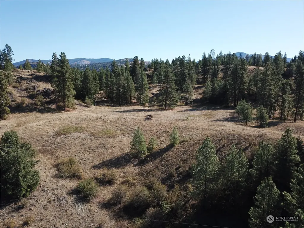 68 Jostin Lane Malo WA 99150