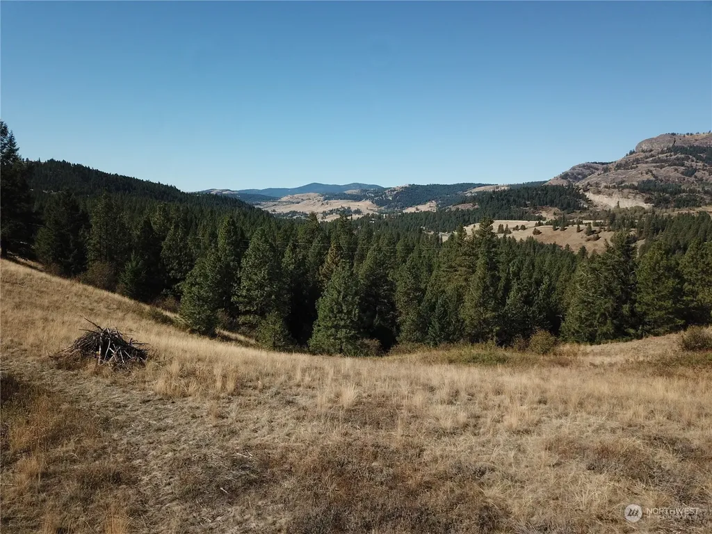 68 Jostin Lane Malo WA 99150