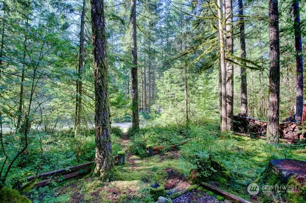 5 Wilderness Way Deming WA 98244