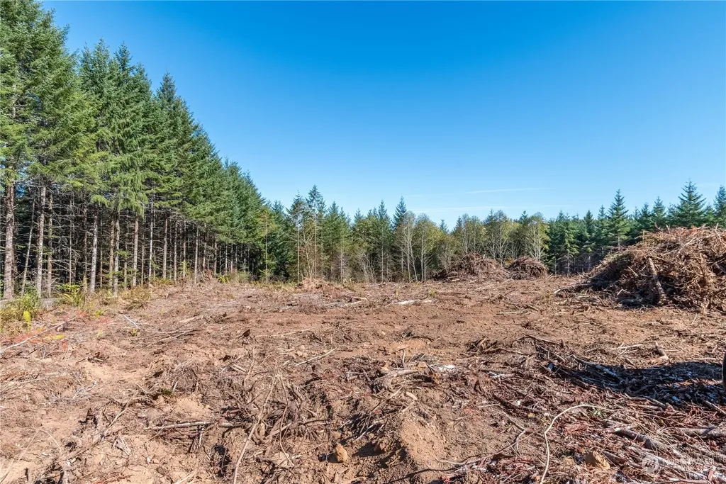 0 Hunter Road Longview WA 98632