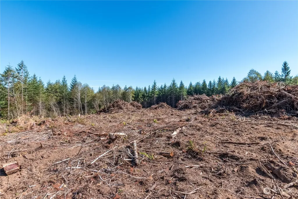 0 Hunter Road Longview WA 98632