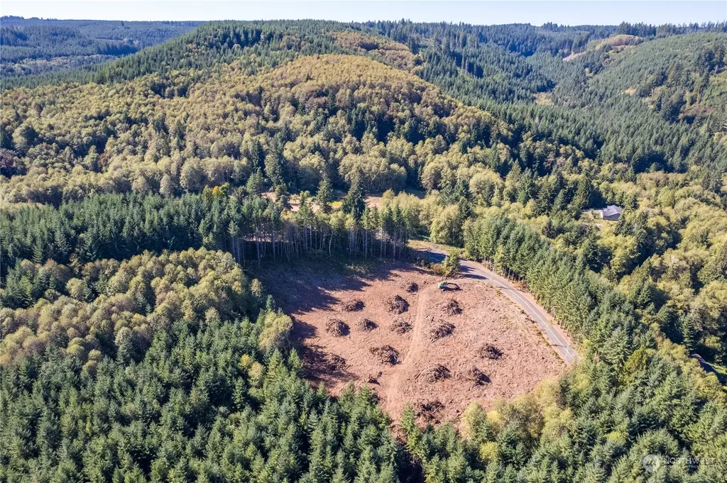 0 Orion Road Longview WA 98632