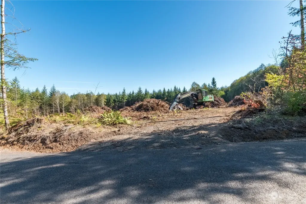 0 Orion Road Longview WA 98632