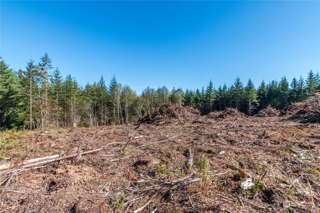 0 Orion Road Longview WA 98632