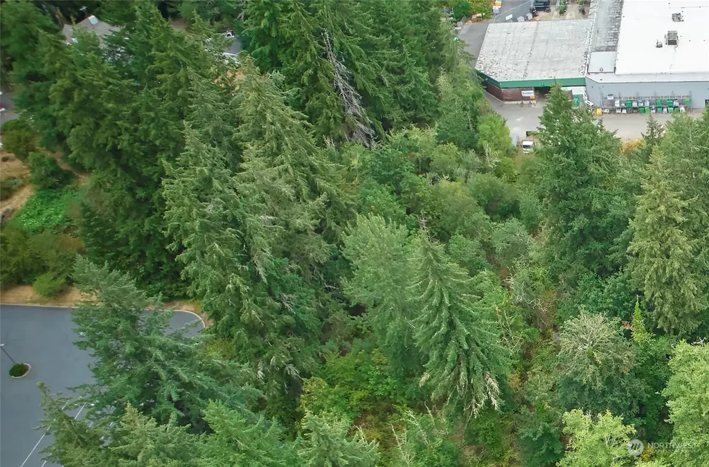 0 Lincoln Avenue SE Port Orchard WA 98366