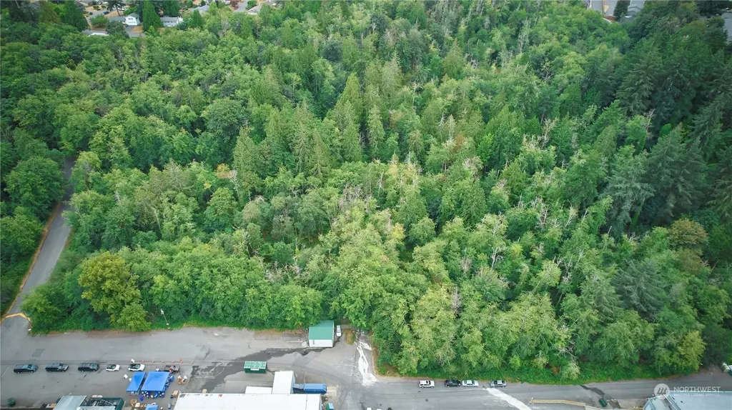 0 Lincoln Avenue SE Port Orchard WA 98366