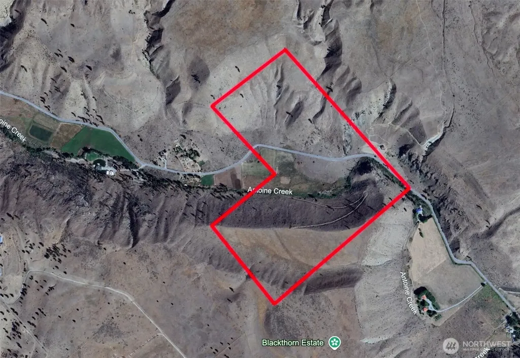 0 Antoine Creek Road Chelan WA 98816