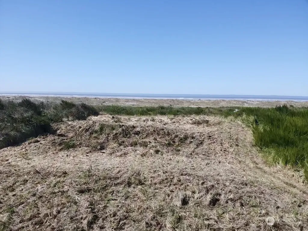 2081 State Route 105 Highway Grayland WA 98547