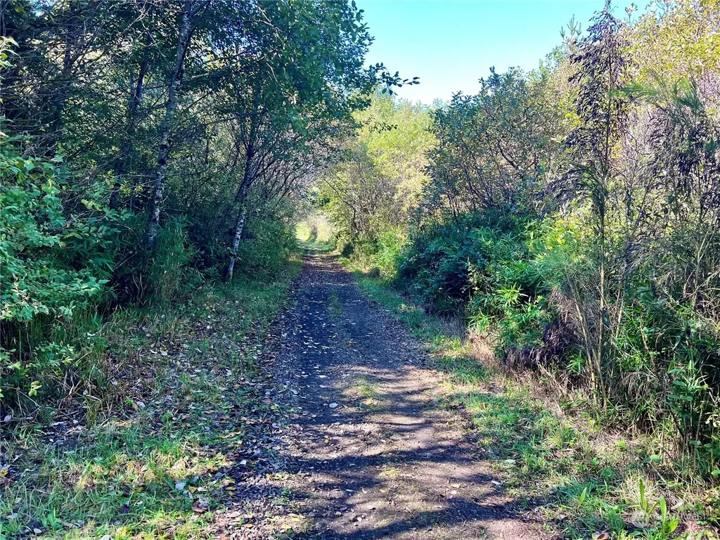 2081 State Route 105 Highway Grayland WA 98547