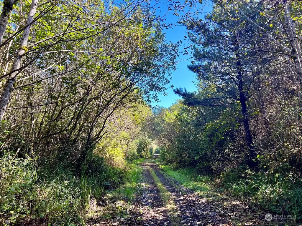2081 State Route 105 Highway Grayland WA 98547