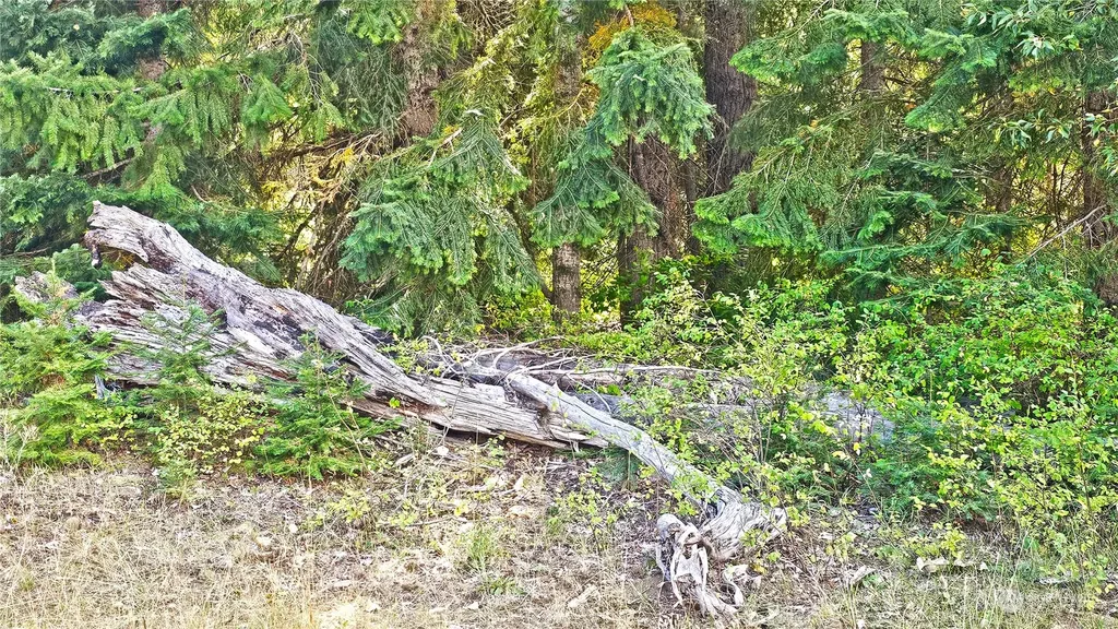 0 Teanaway Middle Fork Road Cle Elum WA 98922