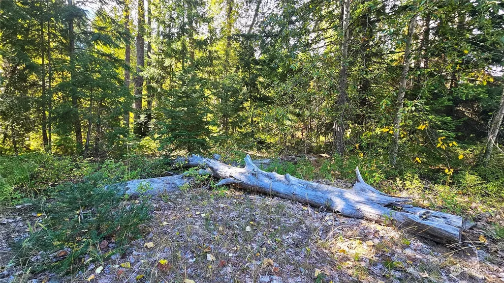0 Teanaway Middle Fork Road Cle Elum WA 98922