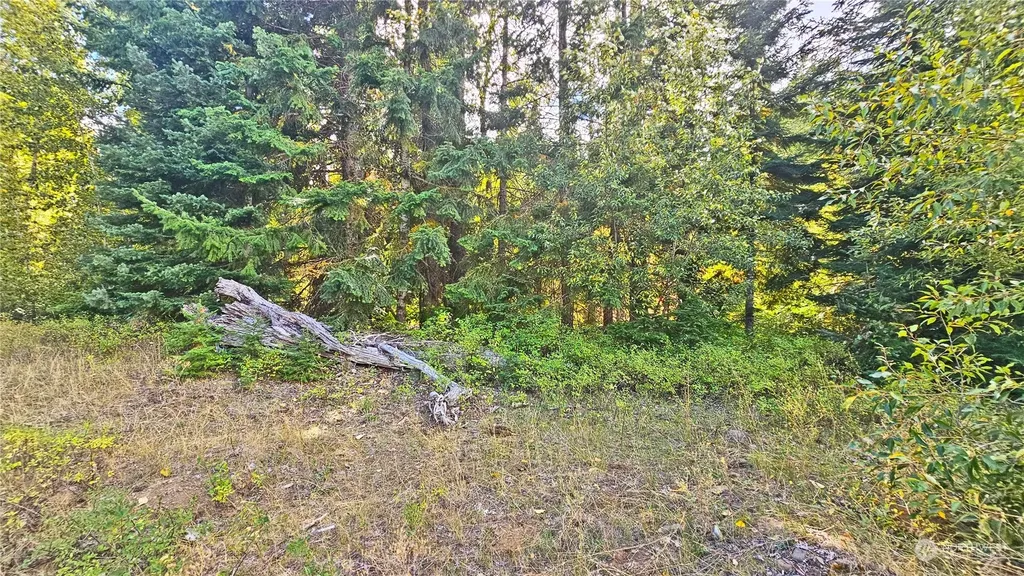 0 Teanaway Middle Fork Road Cle Elum WA 98922