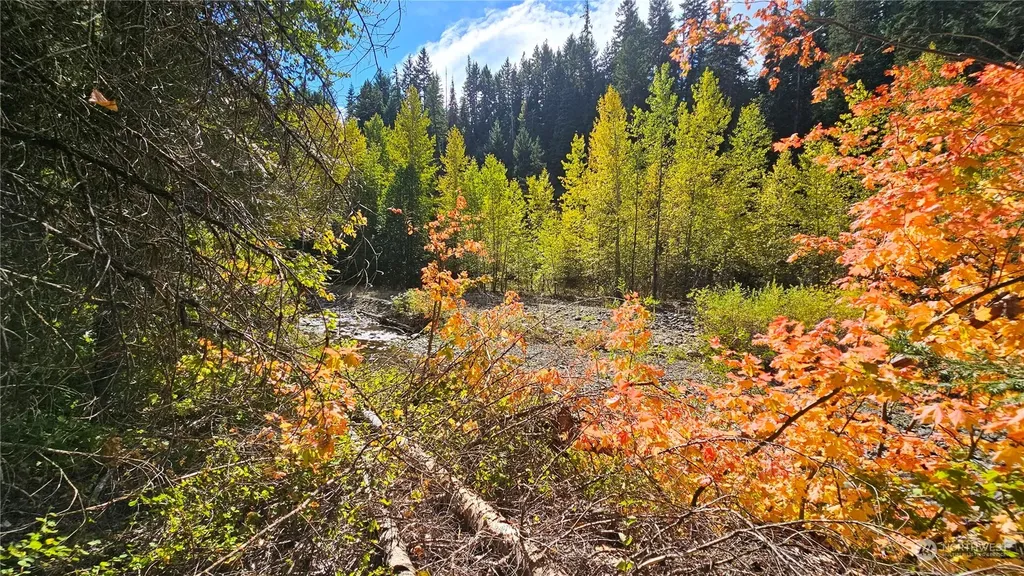 0 Teanaway Middle Fork Road Cle Elum WA 98922