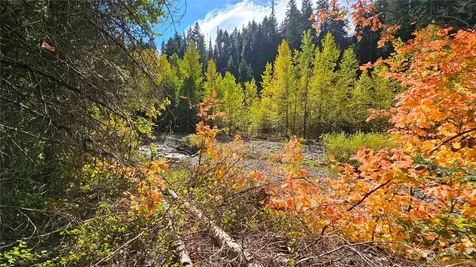 0 Teanaway Middle Fork Road Cle Elum WA 98922