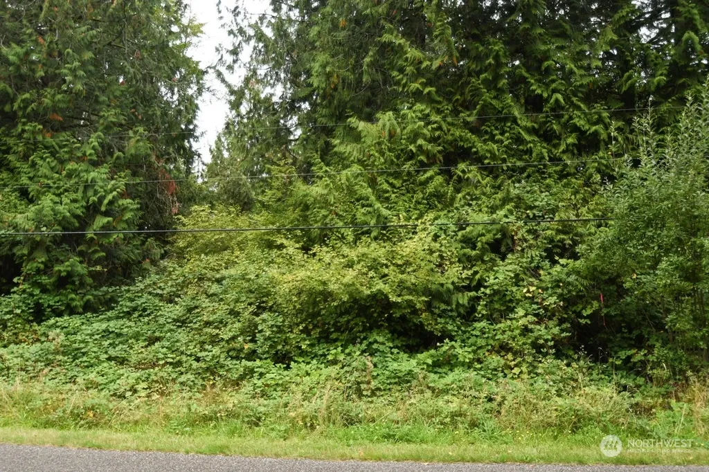 7047 Kellogg Drive NE Olympia WA 98516