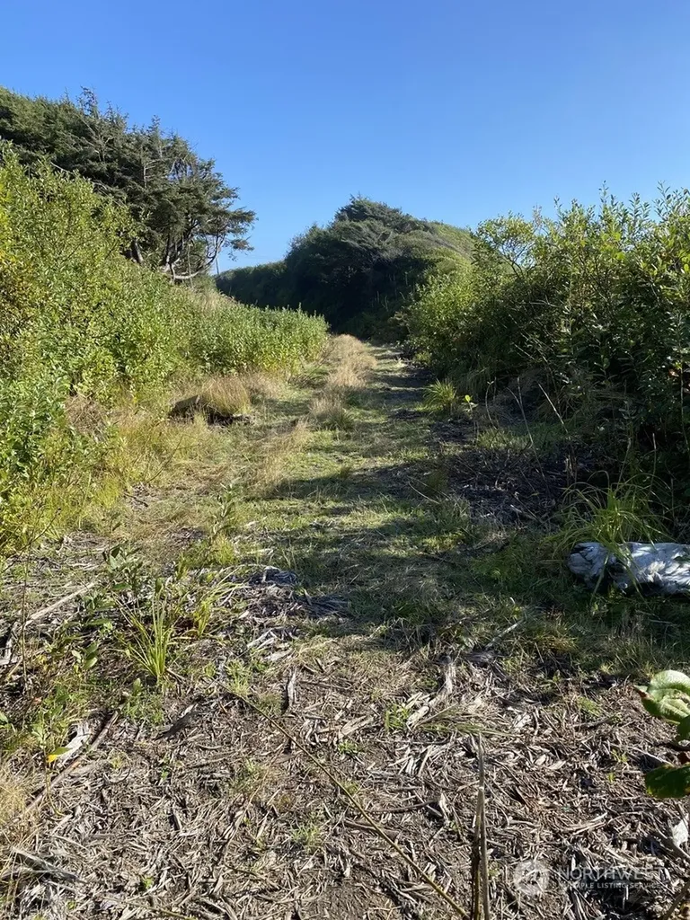 0 Railroad Avenue Pacific Beach WA 98571