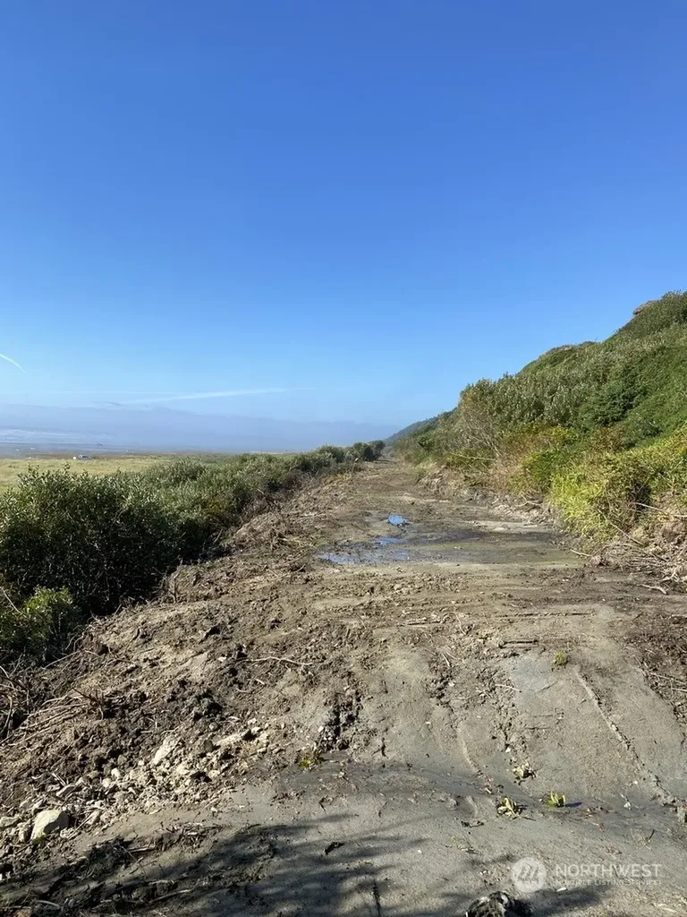 0 Railroad Avenue Pacific Beach WA 98571