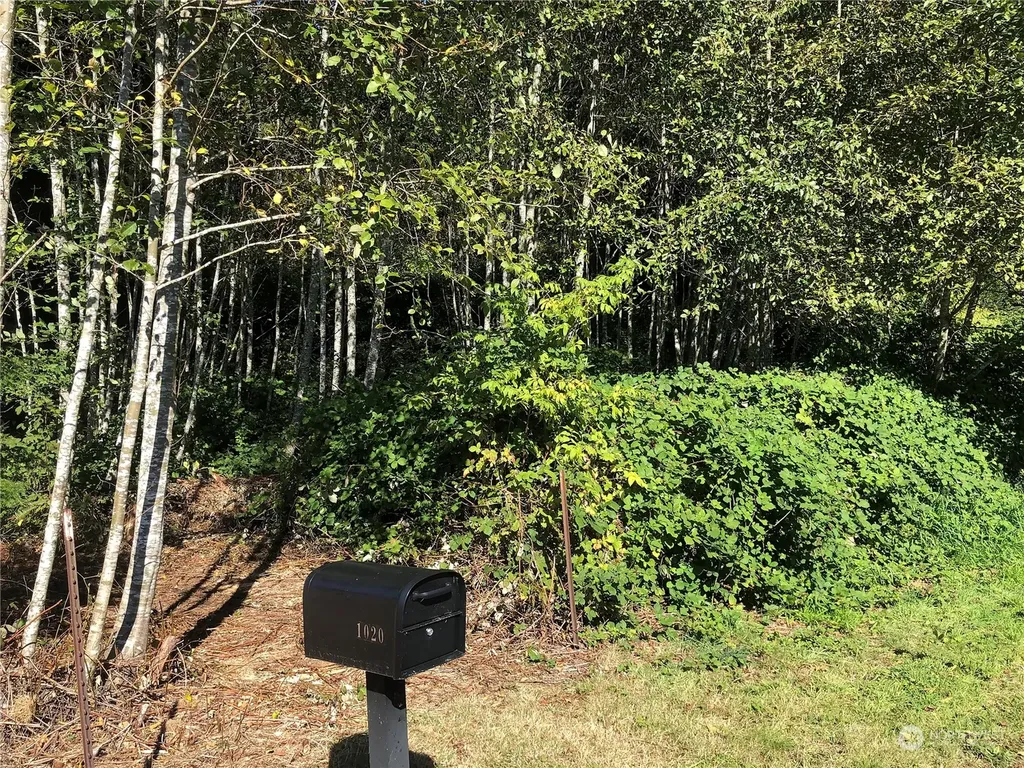1020 Rayonier Avenue Hoquiam WA 98550
