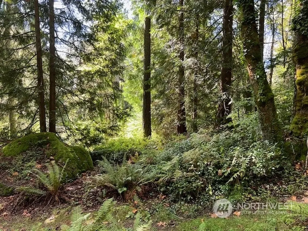8900 144th Place SE Newcastle WA 98059