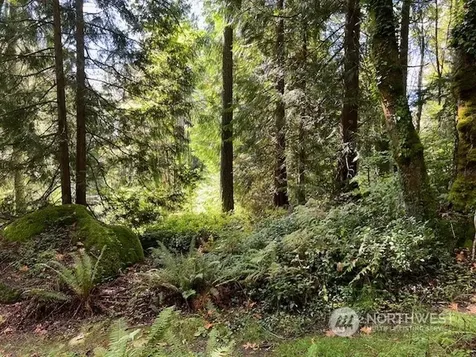 8900 144th Place SE Newcastle WA 98059