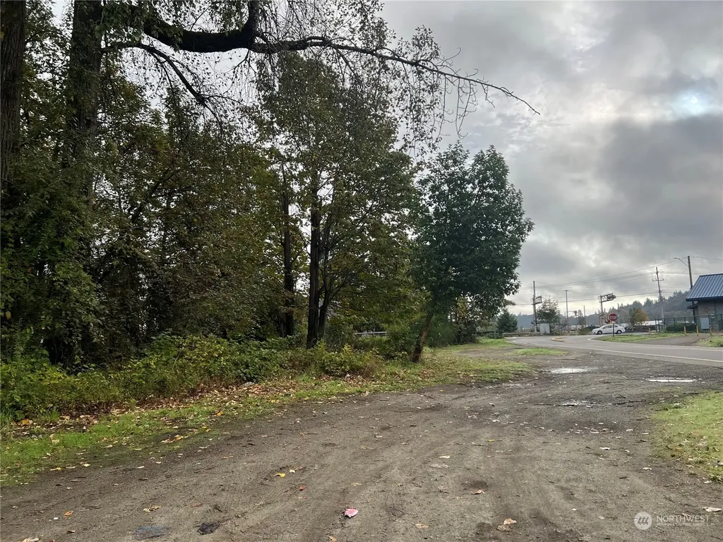 102 Park Street Shelton WA 98584