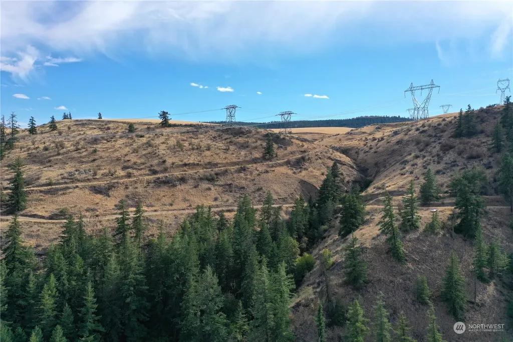 0 Deer Creek Drive Waterville WA 98858
