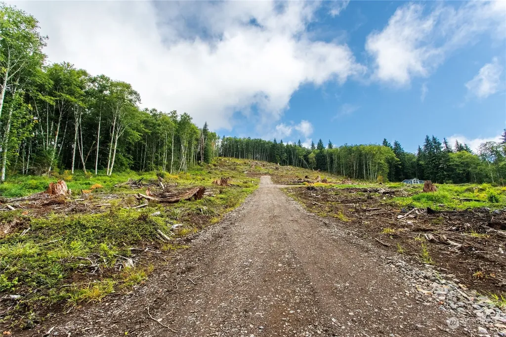 347 Short Road Morton WA 98356