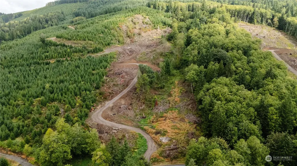 323 Short Road Morton WA 98356
