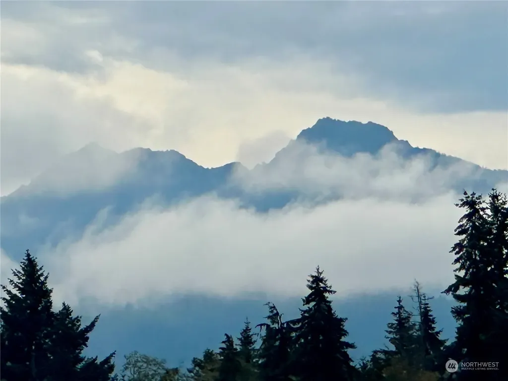 0 S Bagley Creek Road Port Angeles WA 98362