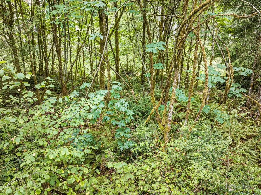 0 Lackey Road NW Vaughn WA 98394