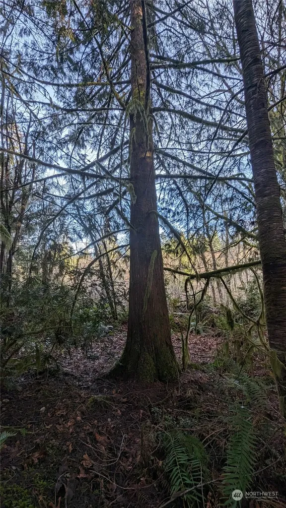 0 Lackey Road NW Vaughn WA 98394