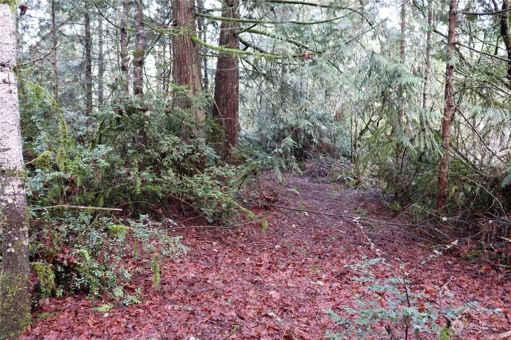 0 Lackey Road NW Vaughn WA 98394