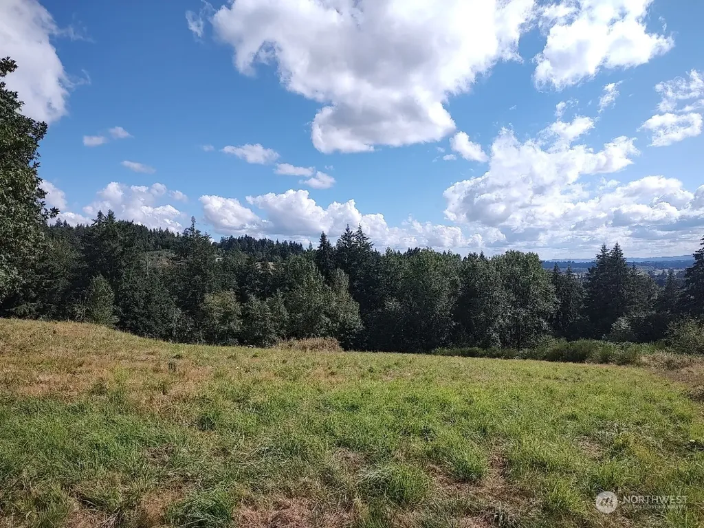 1 NW 389th Street Woodland WA 98674