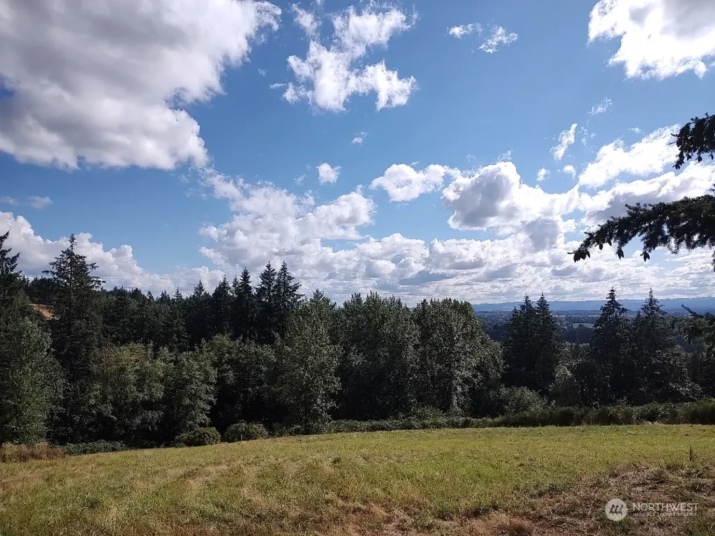 1 NW 389th Street Woodland WA 98674