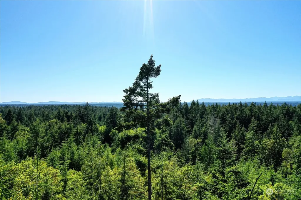 1415 208th Avenue SW Lakebay WA 98349