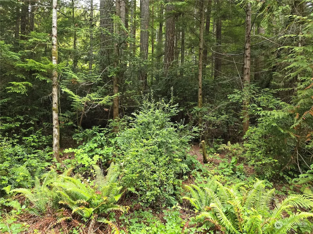 41 N Paradise Drive Lilliwaup WA 98555