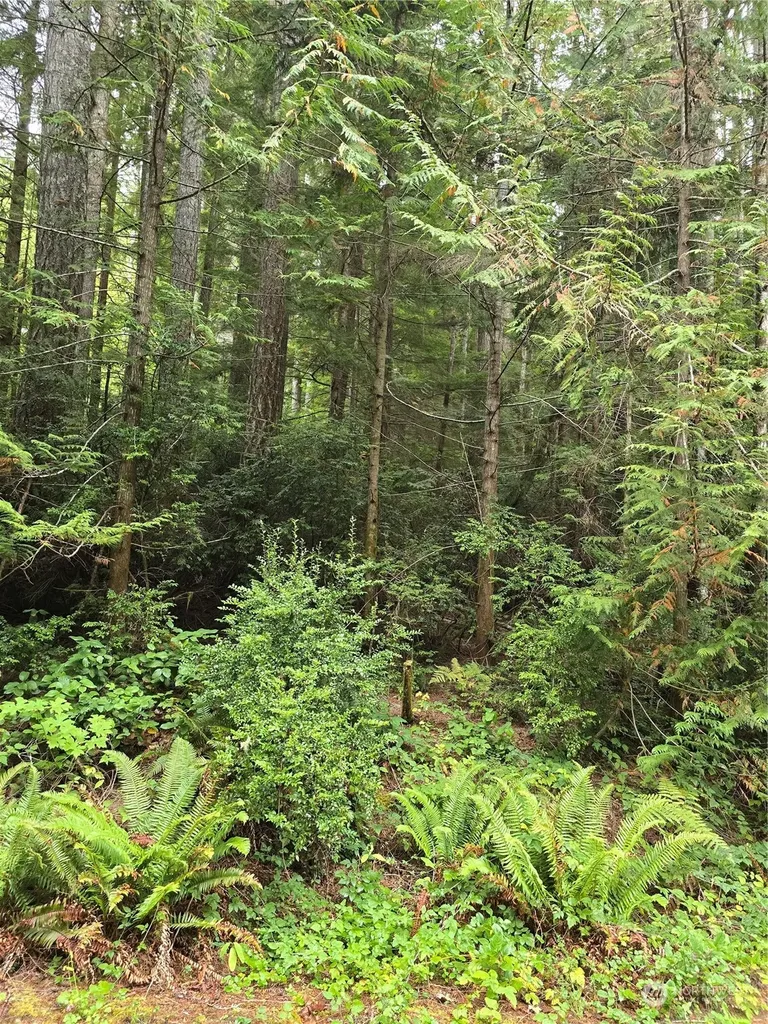 41 N Paradise Drive Lilliwaup WA 98555