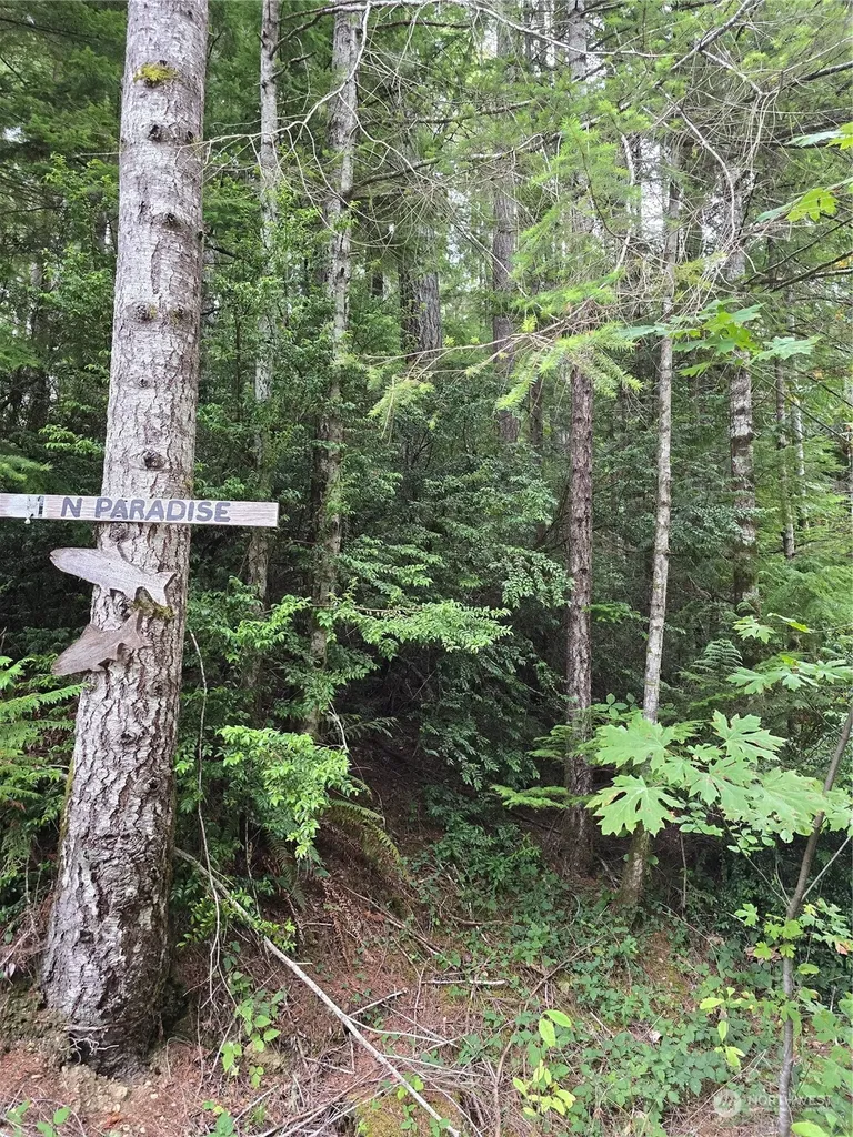 41 N Paradise Drive Lilliwaup WA 98555