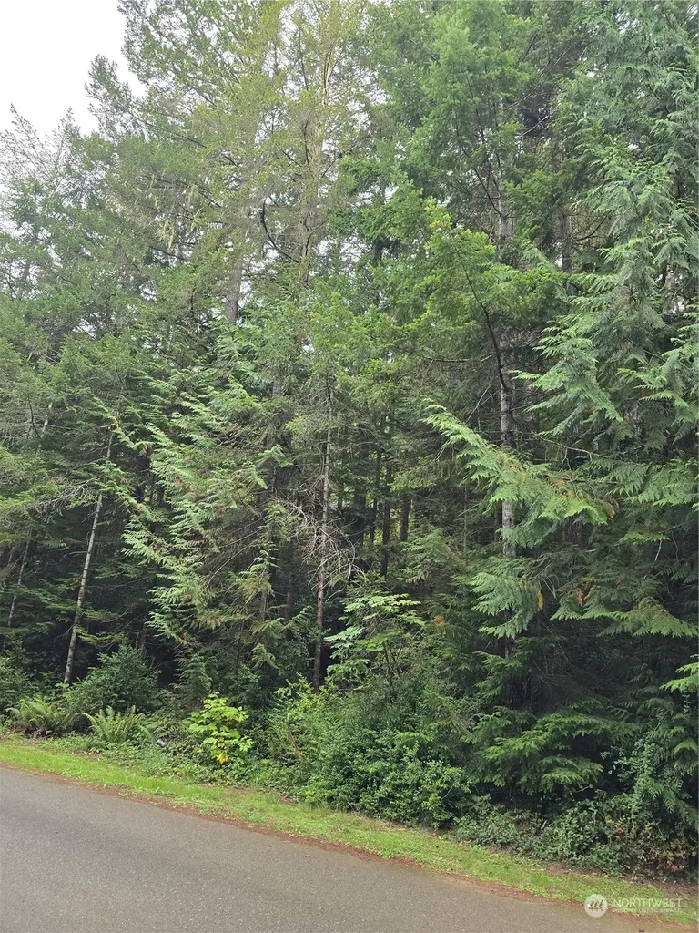 41 N Paradise Drive Lilliwaup WA 98555