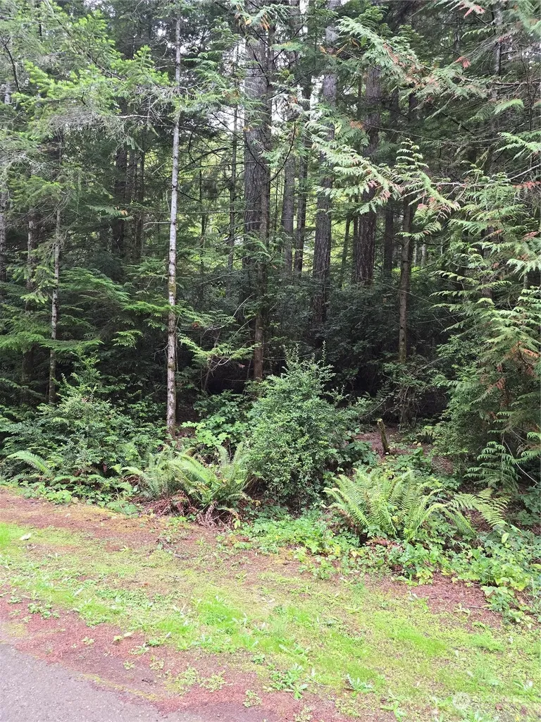 41 N Paradise Drive Lilliwaup WA 98555