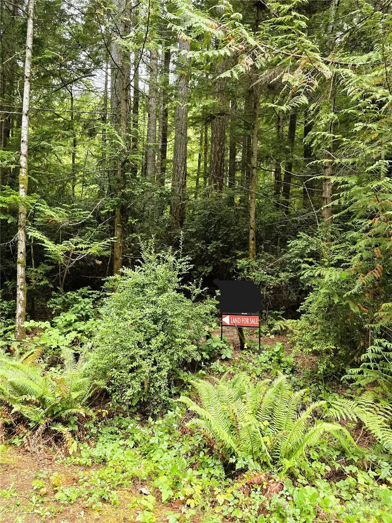 41 N Paradise Drive Lilliwaup WA 98555