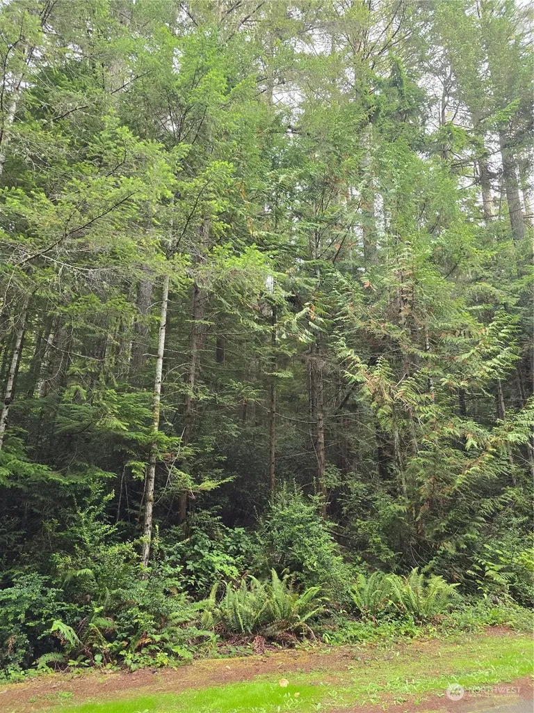 41 N Paradise Drive Lilliwaup WA 98555