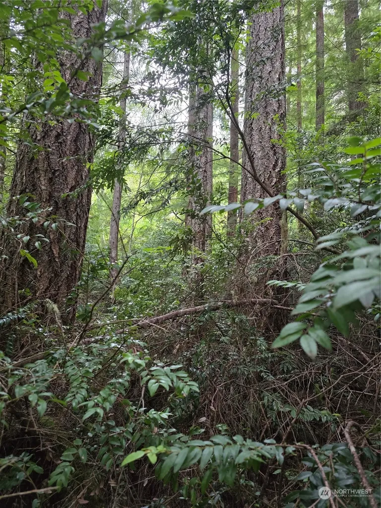 41 N Paradise Drive Lilliwaup WA 98555