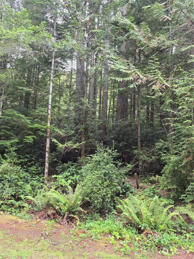 41 N Paradise Drive Lilliwaup WA 98555