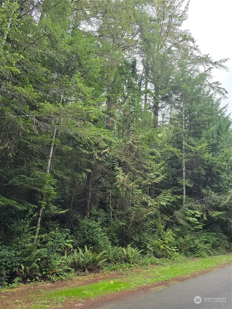 41 N Paradise Drive Lilliwaup WA 98555