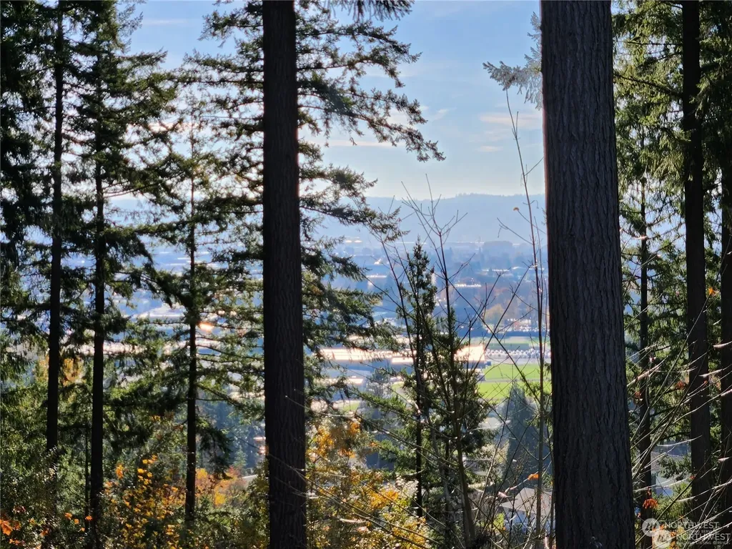 12 Forest Hill Estate Drive Longview WA 98632